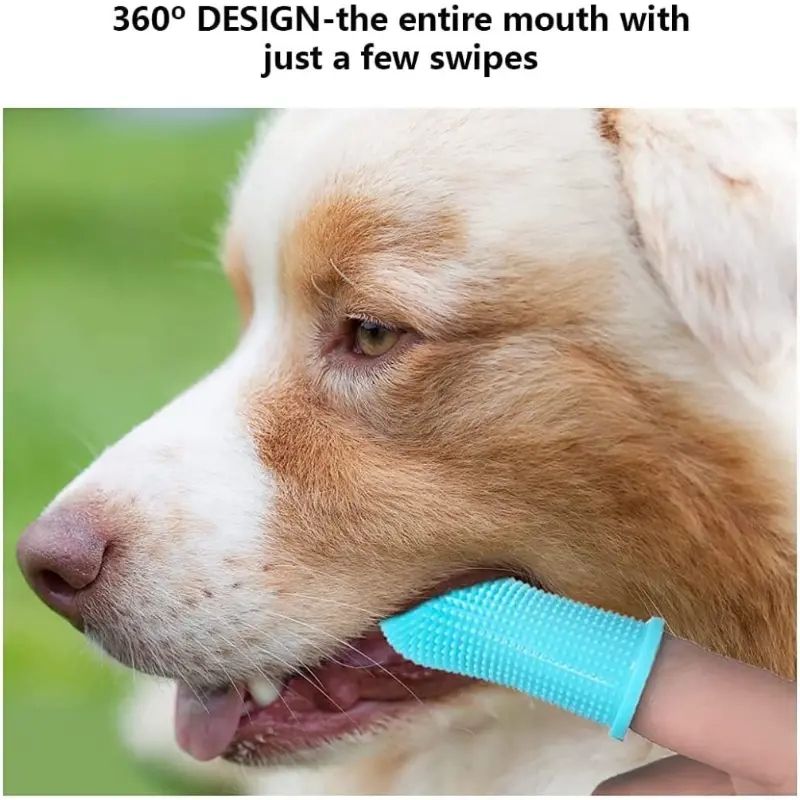 429315751